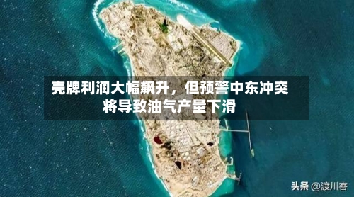 壳牌利润大幅飙升，但预警中东冲突将导致油气产量下滑-第2张图片