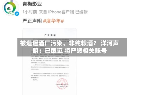 被造谣酒厂污染、非纯粮酒？ 洋河声明：已取证 将严惩相关账号-第2张图片