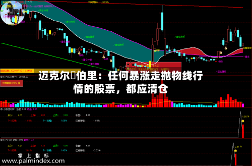 迈克尔・伯里：任何暴涨走抛物线行情的股票，都应清仓-第2张图片