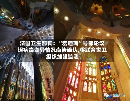 法国卫生部长：“宏迪斯	”号邮轮汉坦病毒变异情况尚待确认,将联合世卫组织加强监测-第2张图片