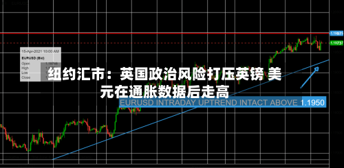 纽约汇市:英国政治风险打压英镑 美元在通胀数据后走高